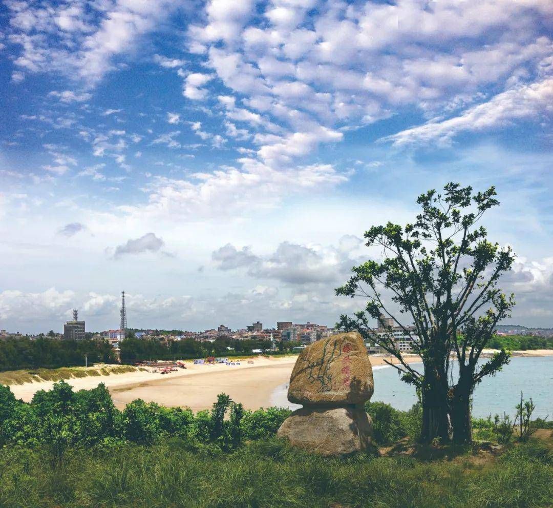 【美丽乡村】金井围头村:曾经新娘很出名,如今鲍鱼很抢镜!