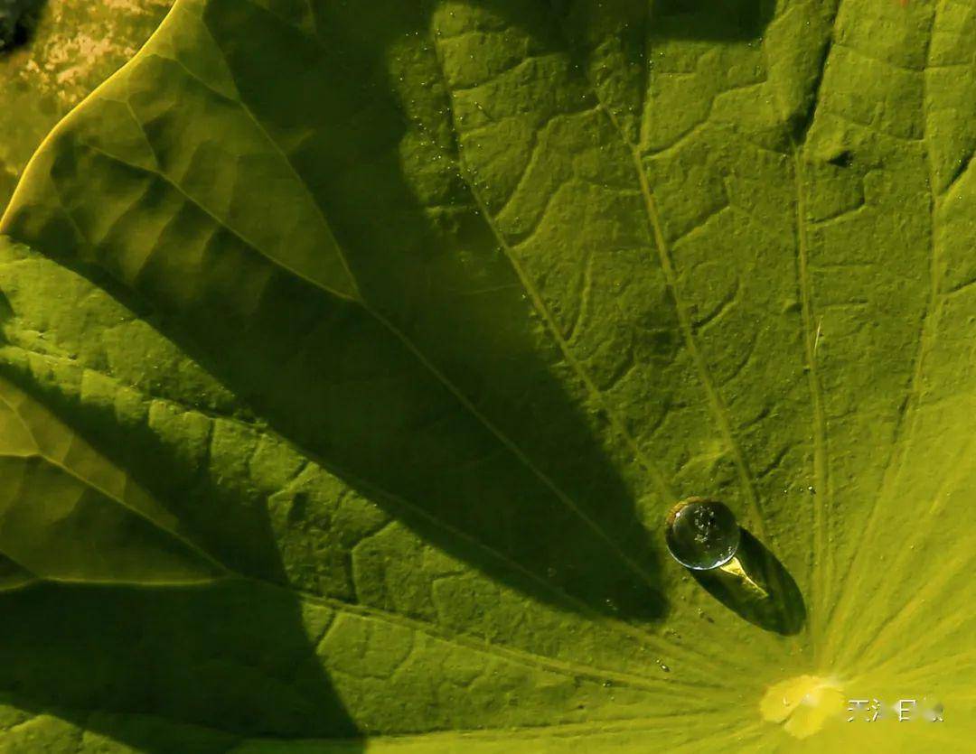 染湿了红澄澄的夕阳,洗净了白苍苍的云彩,融化了金灿灿的阳光,也衬得