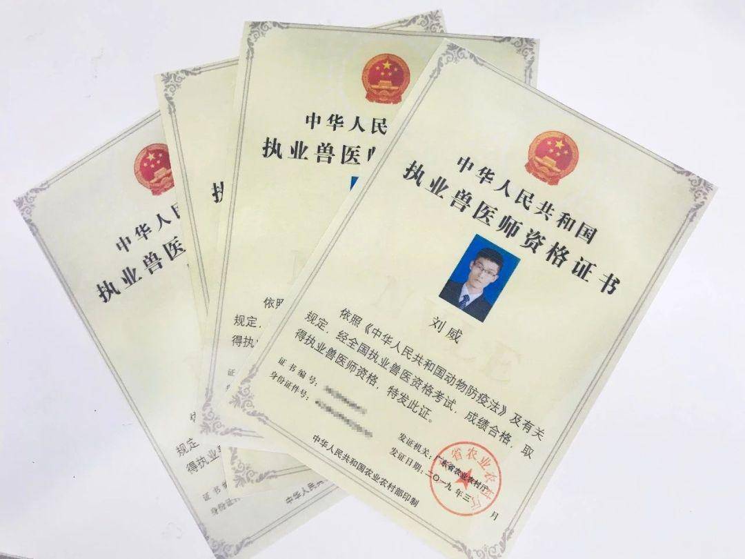 原本顾问执证兽医师资格证书避免因为养宠方式错误,而酿成的悲剧,很好