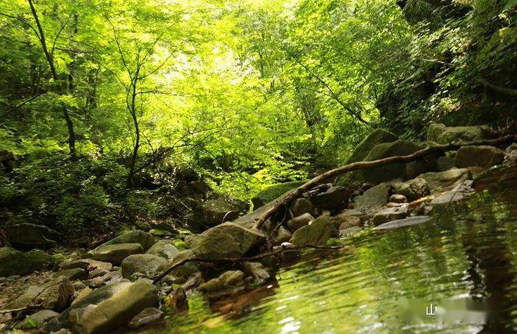 【山鹰户外特价月】5月30日西寺沟漫步森林氧吧休闲一日游39元/人