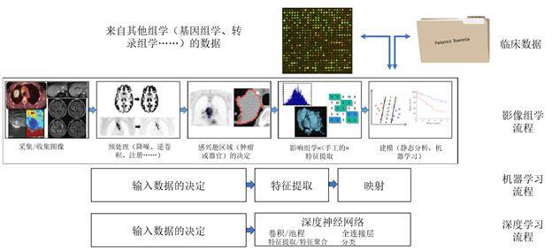 【前沿】人工智能,深度学习和影像组学在核医学影像中的应用