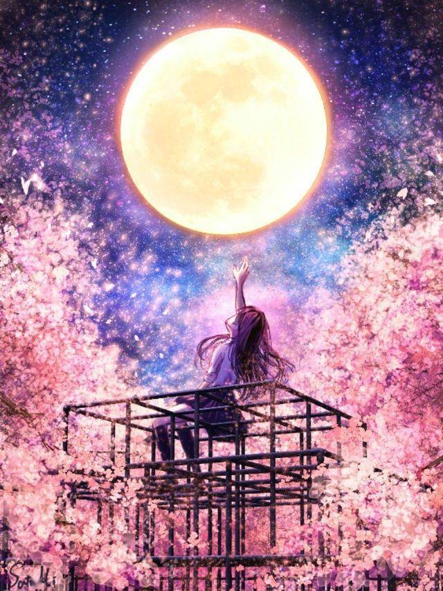 插画丨樱花似雪悄然飘落明月皎皎辉映长河