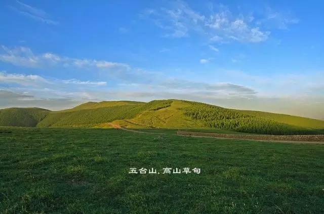 東臺望海峰,海拔2795米,有寺名曰望海,主供聰明文殊,拜之可使人聰明.