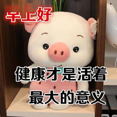 特别漂亮的早上好图片表情问候语