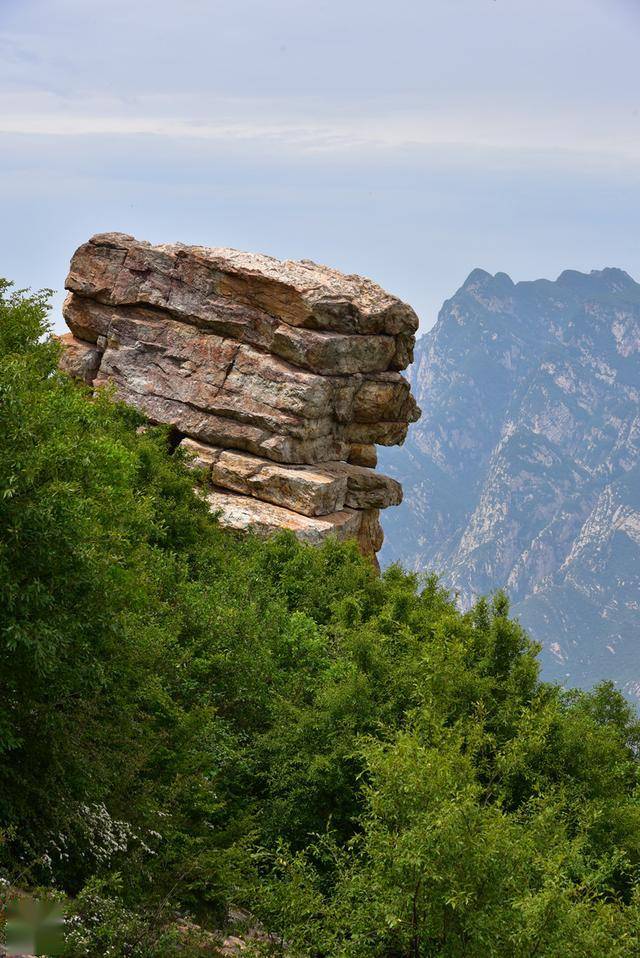 嵩山顶上8000亩公园5000亩森林2500亩草甸