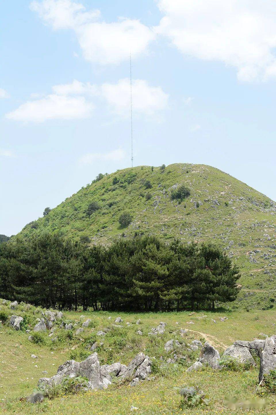 【镇安文艺】北羊山上的领路人