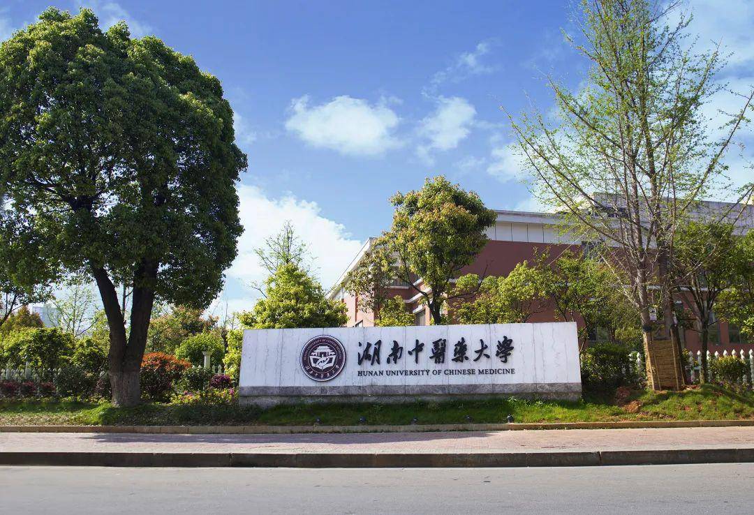 征集令毕业云告白我与湖中大的独家记忆