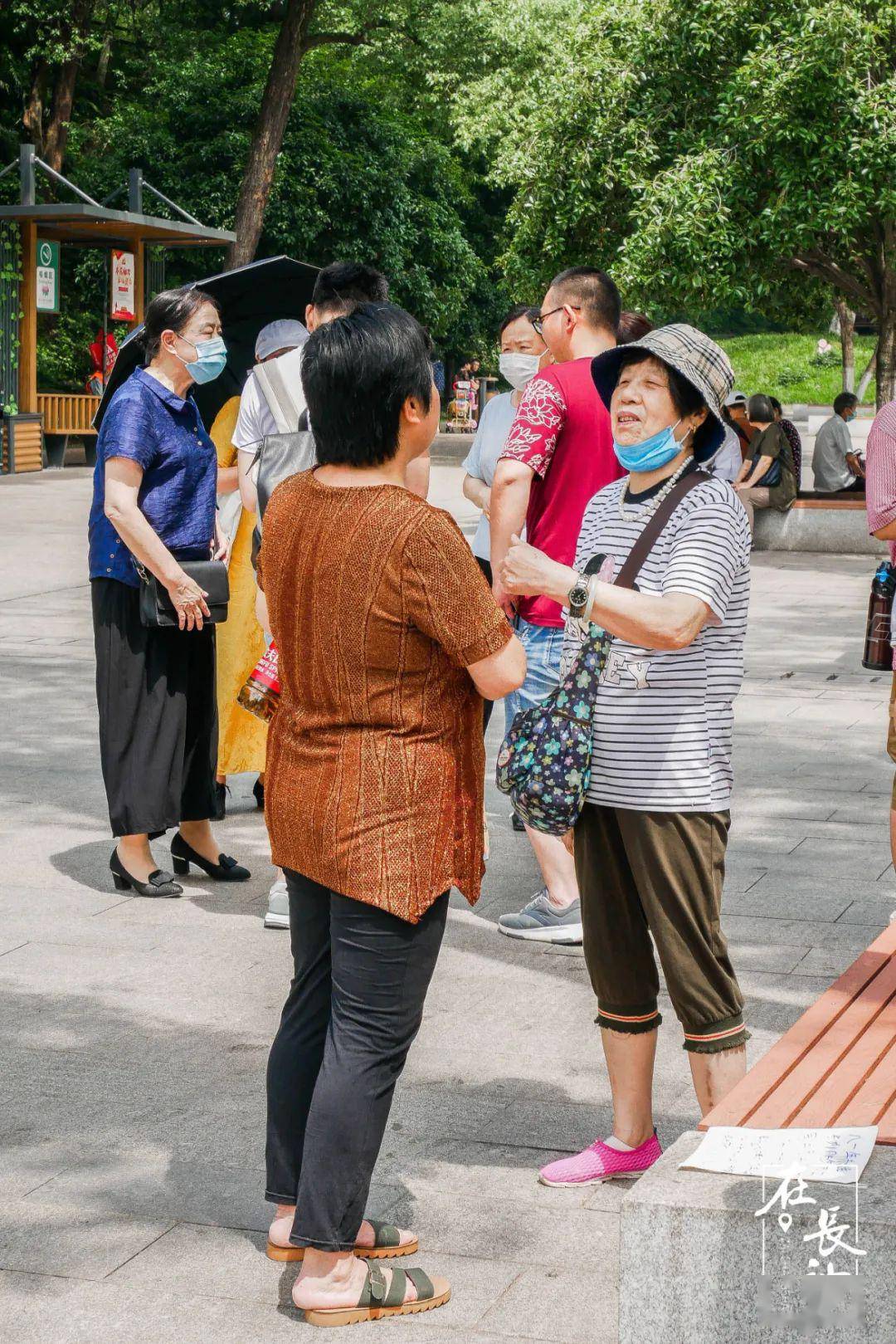 长沙市烈士公园相亲角图片