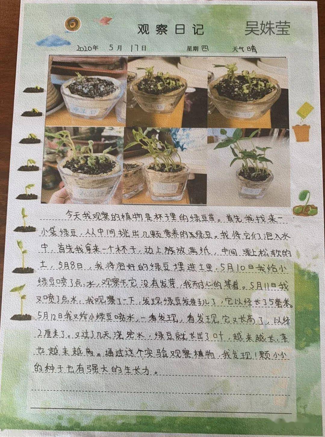 我和种子共成长铁路五校开展劳动美61环境美之植物成长我观察活动