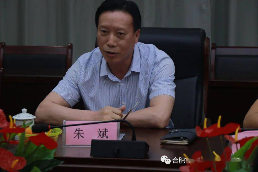 合肥望促会召开一届十三次会长办公会议 提出了多项实操性建议