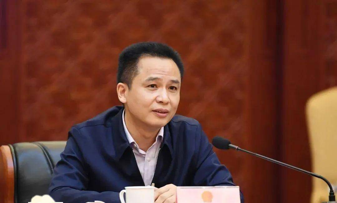 陈明国五个好为代表解读最高法院工作报告