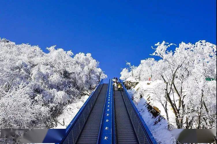 乘坐扶梯,穿梭在原始森林之中,可观龙头山间似飞舞水袖的"69道拐"盘山