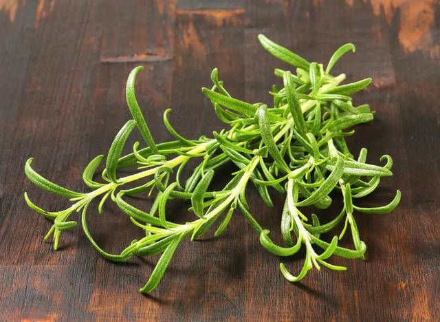 西餐冷知识丨你知道吗?这些杂草可以用来做香料_香草