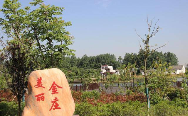 一个贫困村的蜕变凤阳县金庄村脱贫攻坚之路纪实