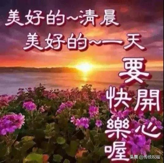 最美早上好問候語圖片帶字 2020最美麗的早上好圖鮮花帶字_祝福