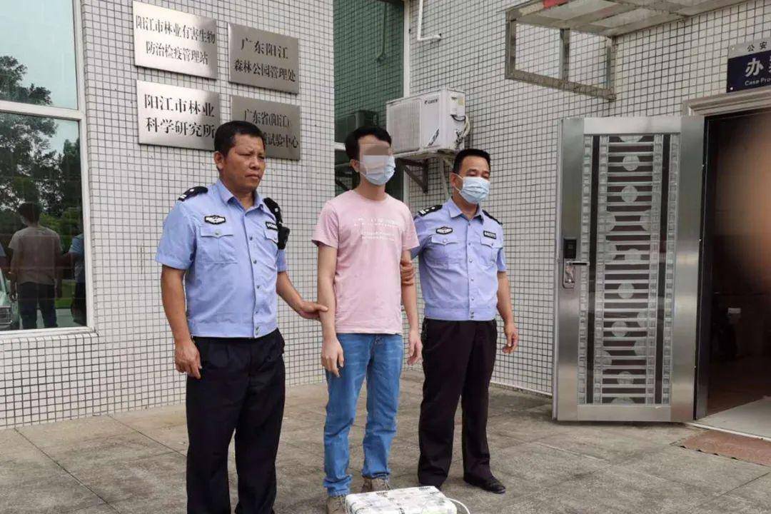 阳江养"龟"的醒"鸡",两男子被抓!