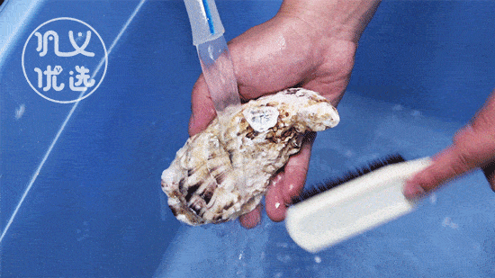 还有秘制烧烤~速撩!_扇贝