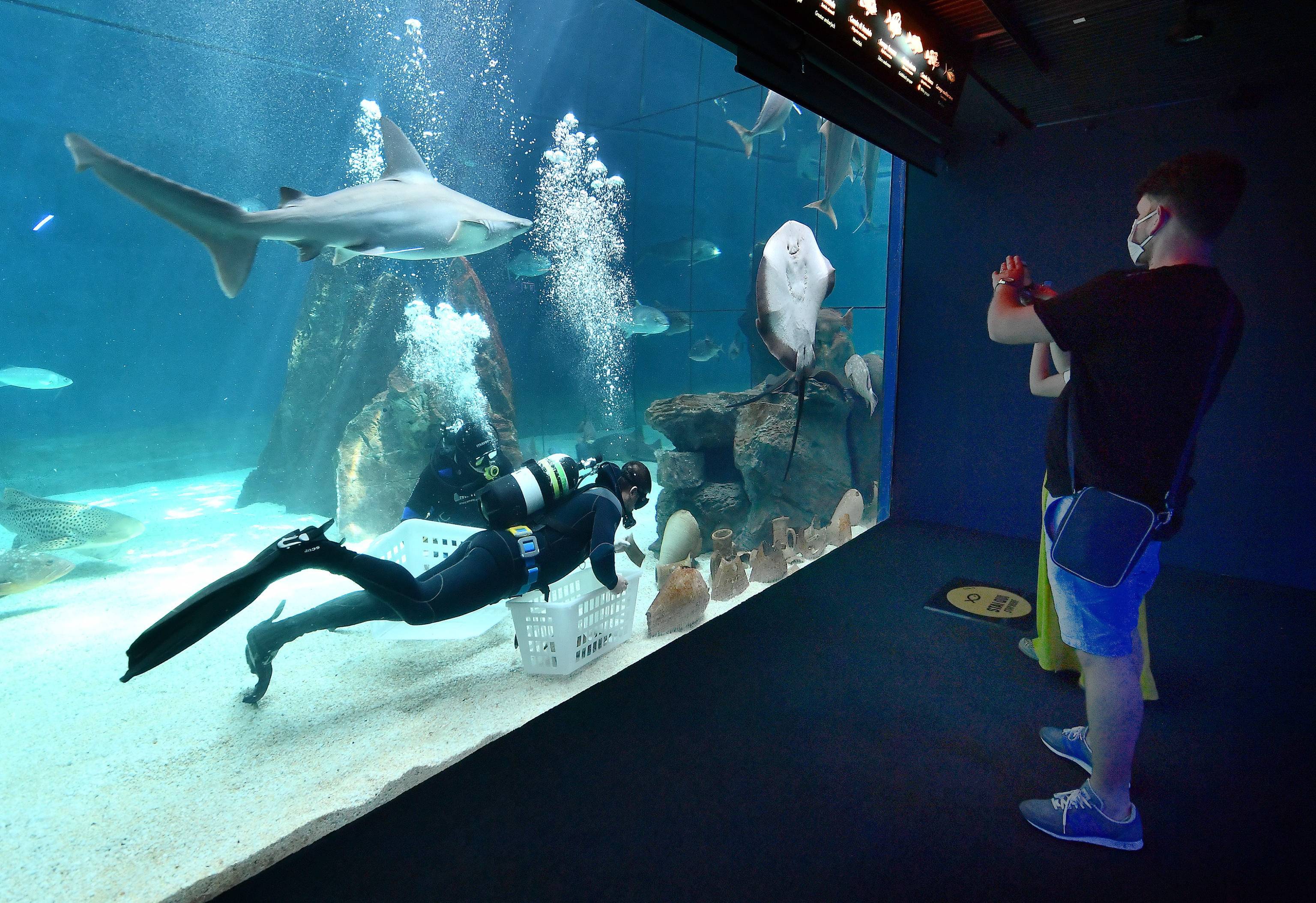 意大利热那亚水族馆重新开放