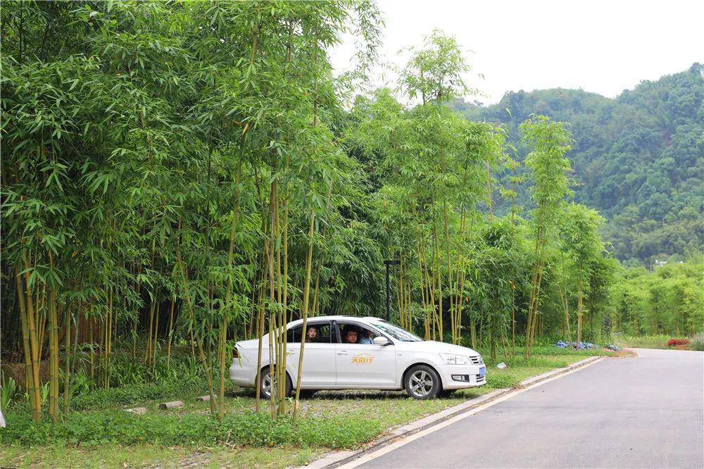投资12亿宜宾这个村修酒店餐厅预计今年8月就能对外开放