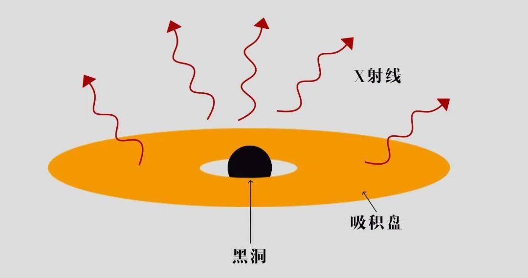 在大小尺度上,探索黑洞的极致力量