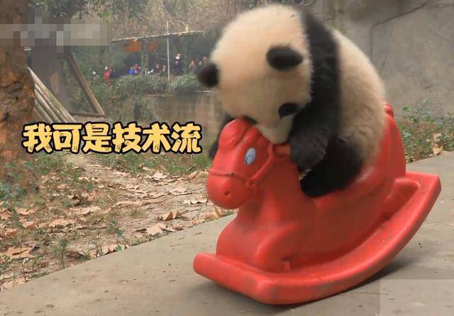 熊猫摇摇椅表情包图片