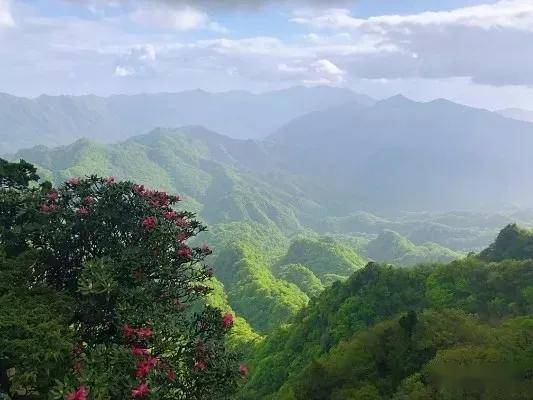 夏季清肺生態游來光霧山擷一抹美景醉心間