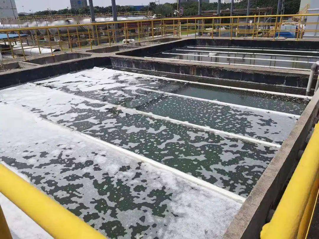 污水生物处理中的好氧颗粒污泥技术