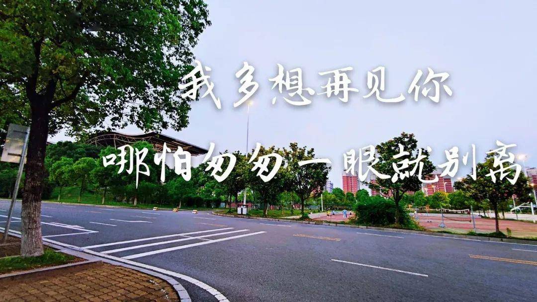 魂牵梦绕的感情句子 离别感伤句子(84条)-牛句网