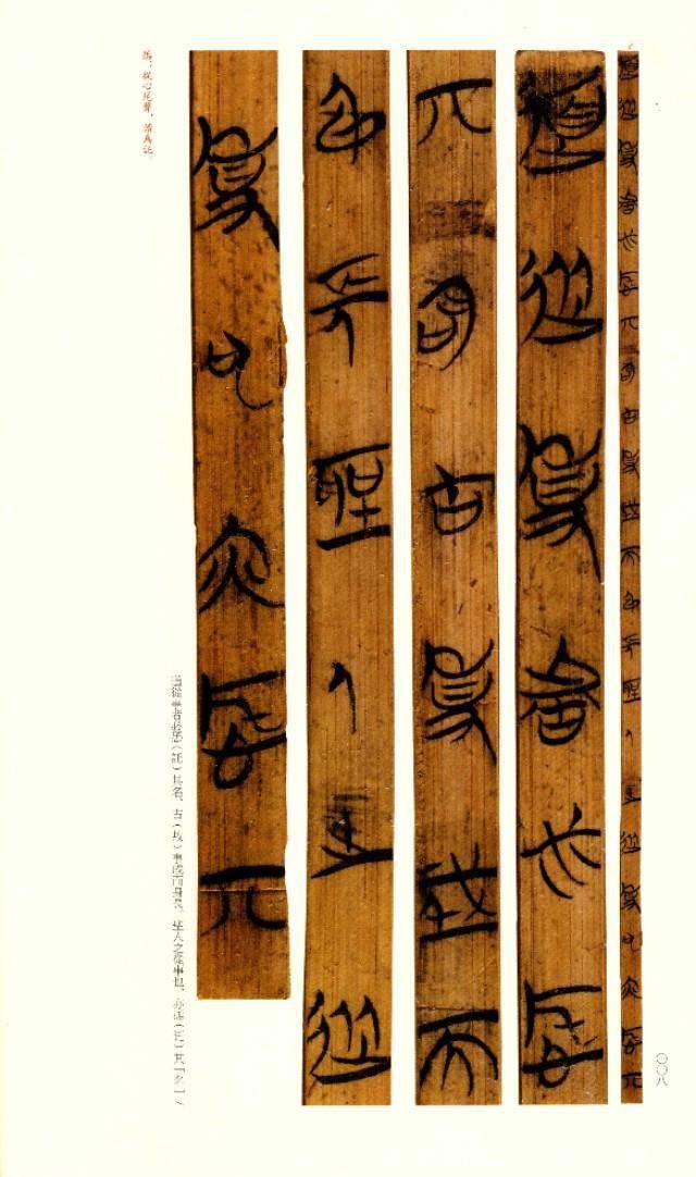 杨普义楚简名品欣赏一