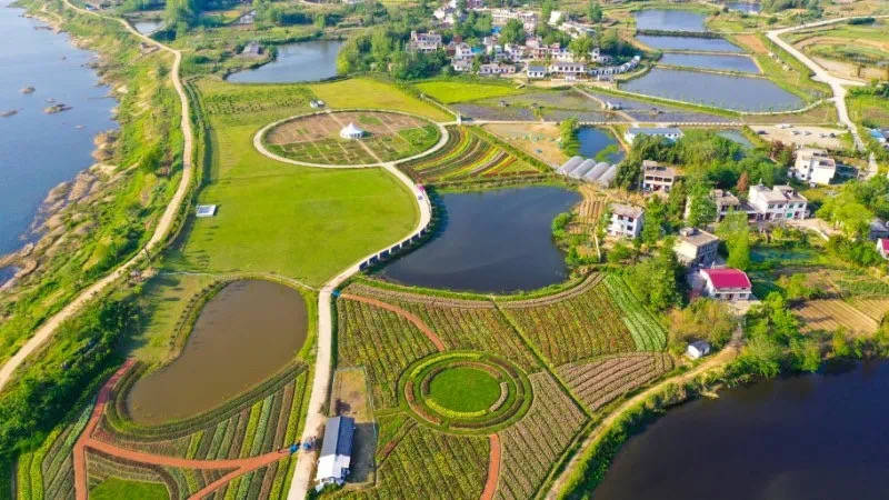 纷纷相约到花涧谷去游玩,花海人流相映衬,给浠水县复工复产带来一派喜