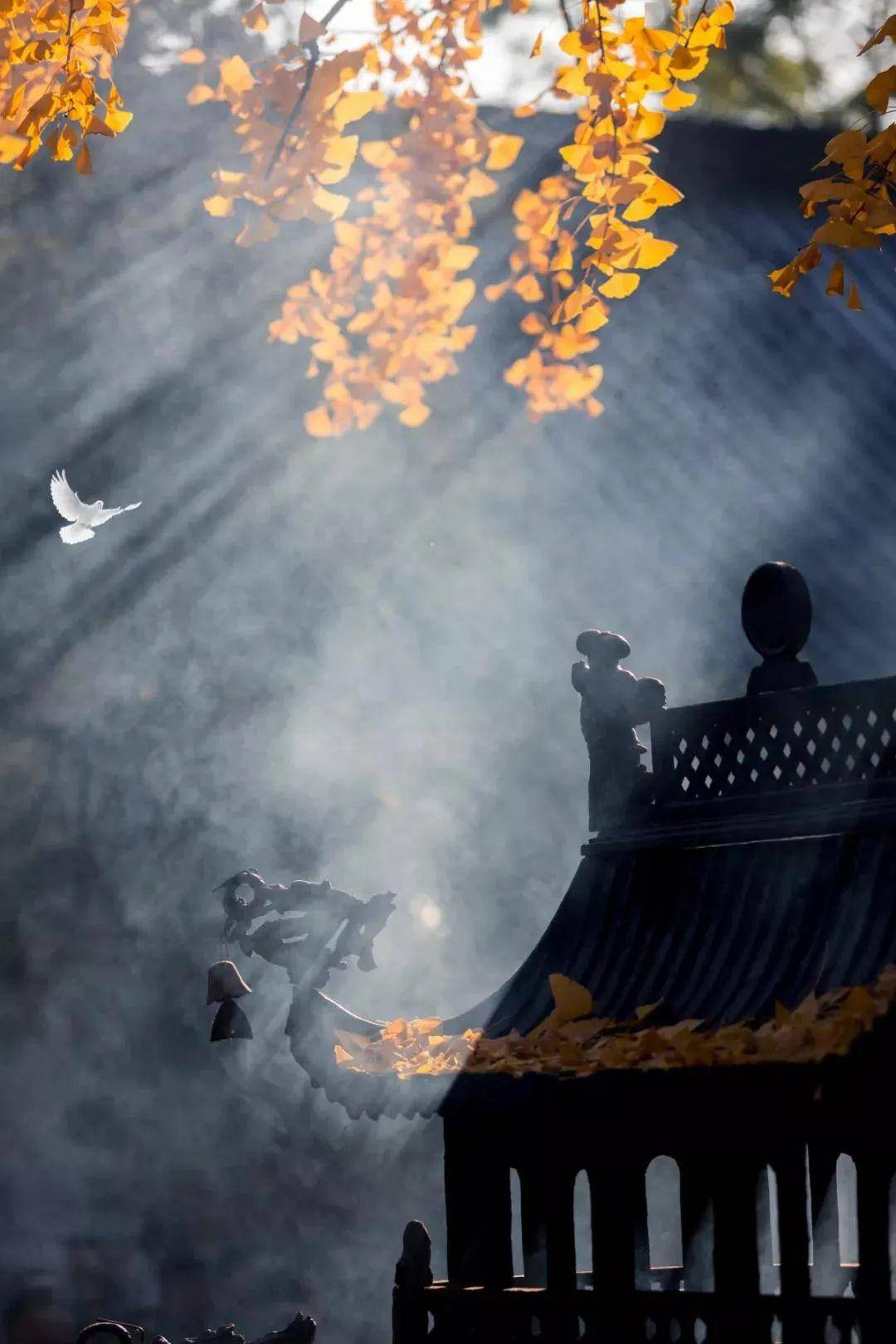 来时一丝不挂去时一缕青烟这就是人生