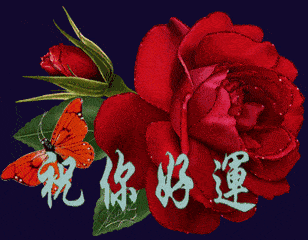 早上好,我对你的祝福要收下,祝你快乐每一天,好运常相伴_问候