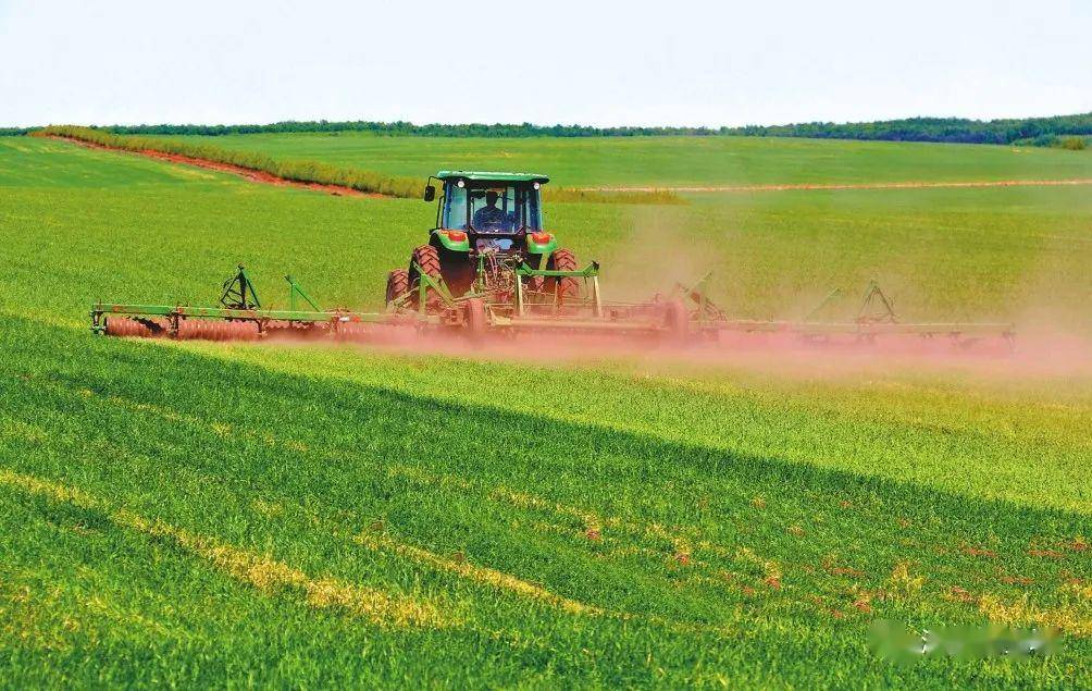 北大荒粮食播种面积较上年增加20万亩