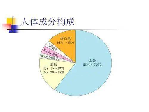 人体的组成主要成分:水,血液,肌肉,骨骼,脂肪等多种成分