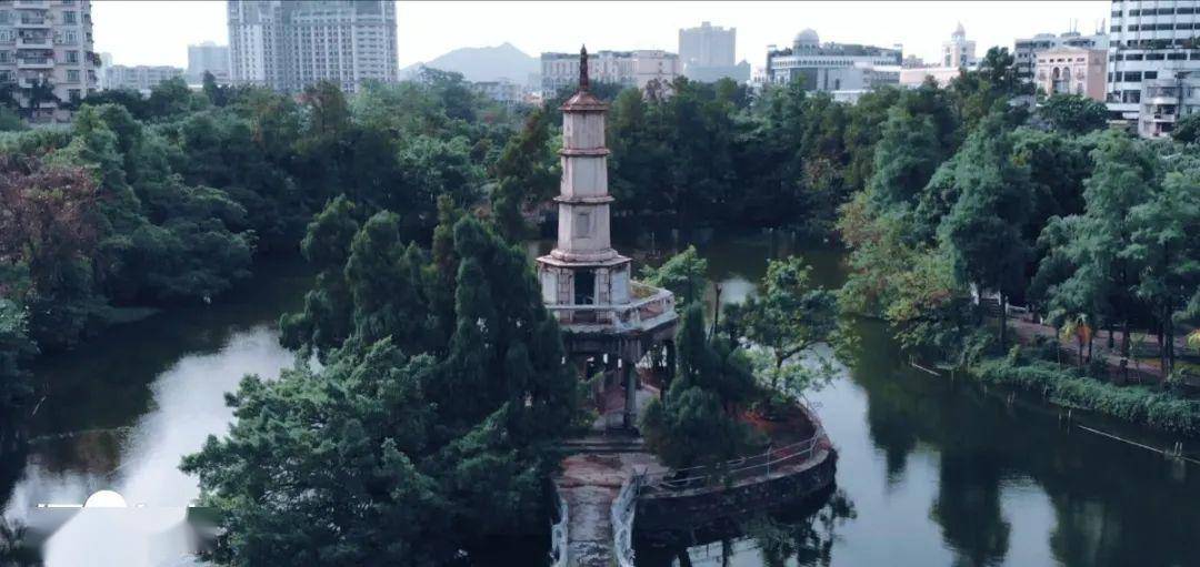 遇见台山丨向秀丽塔