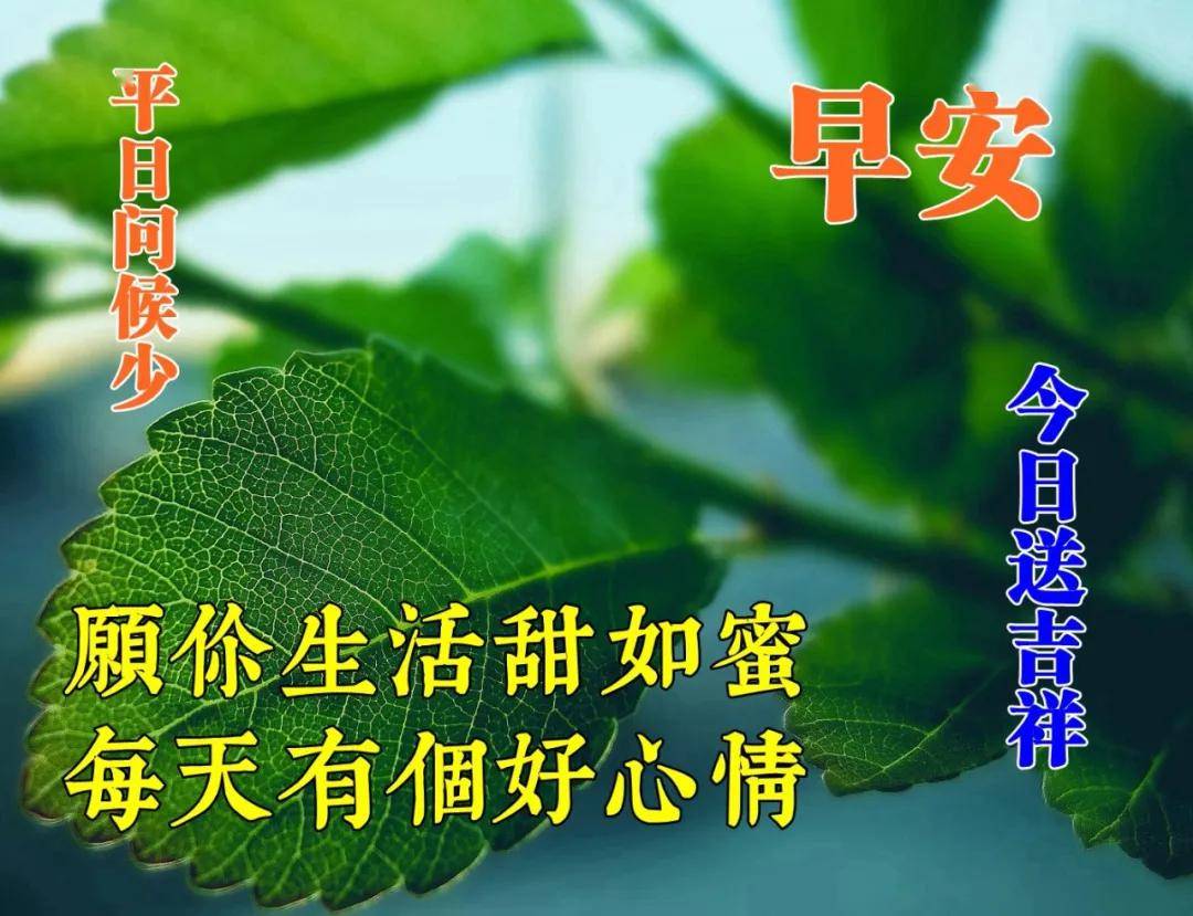 早上好新的一天新的祝福願你生活甜如蜜每天有個好心情早安