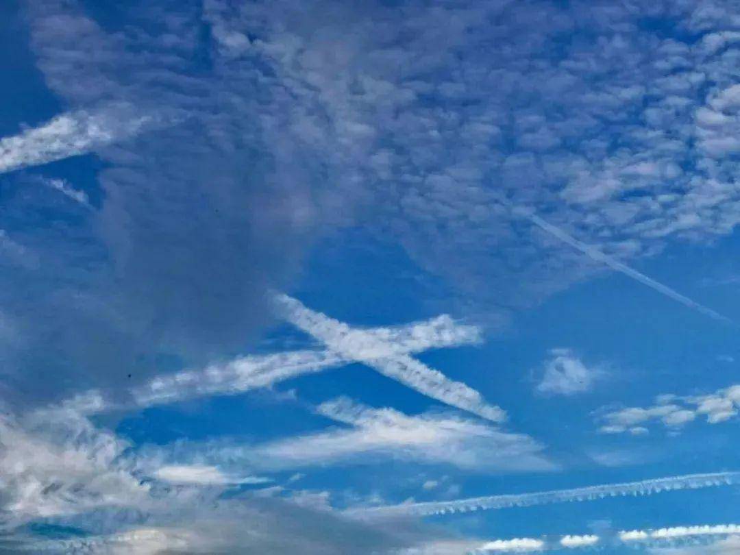 夏天来了西瓜必须是标配