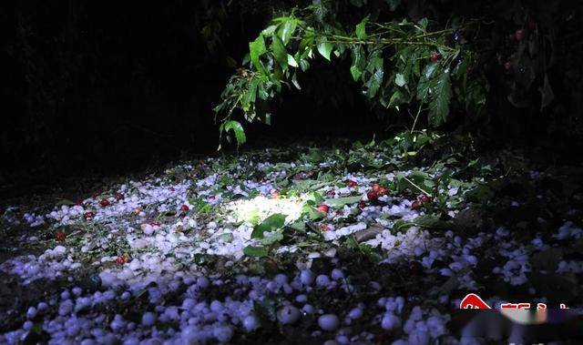 秦州区多镇遭受冰雹灾害