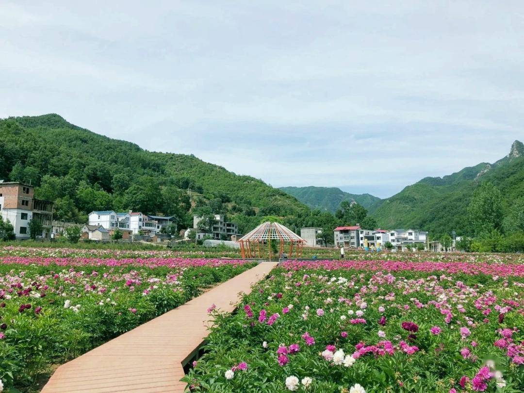 明天将有成千上万人涌向栾川这个地方