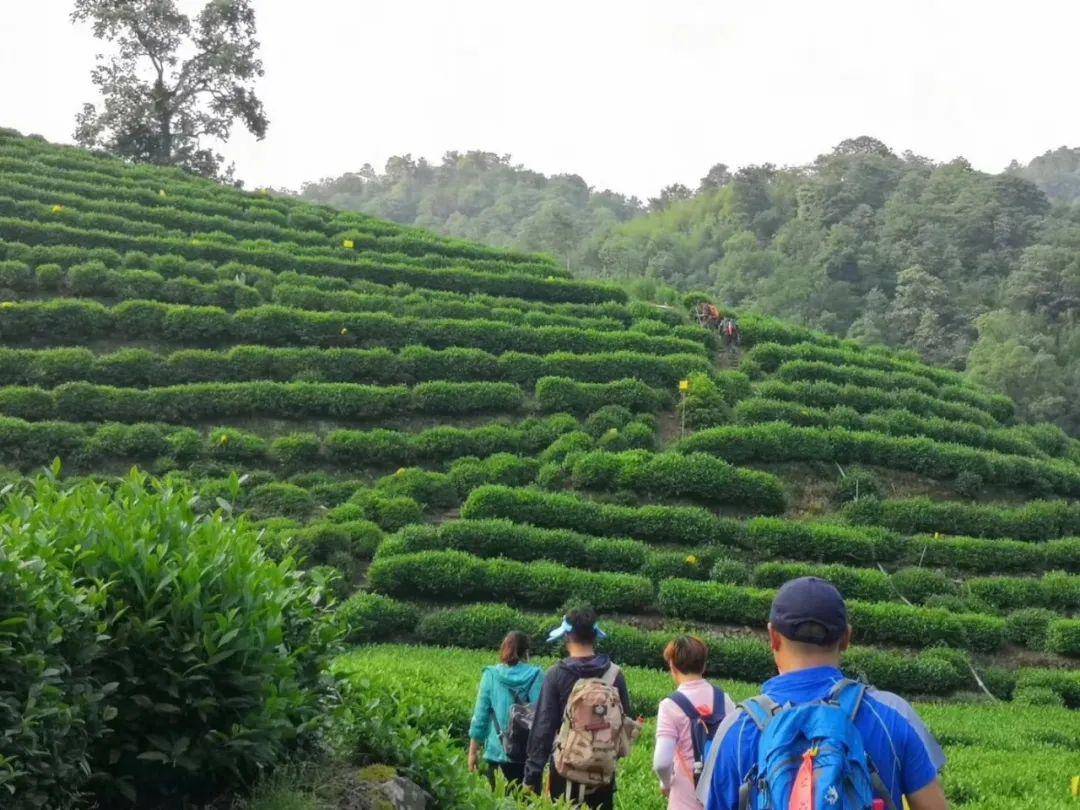 【经典徒步】6.7周日杭州环西湖群山毅行 国内十大经典徒步线路之一