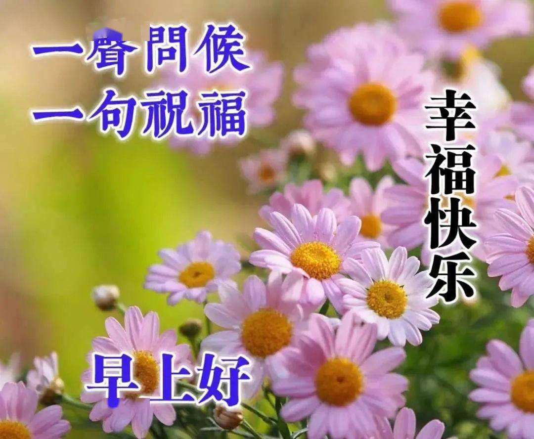 6月1日周一群发早上好问候祝福动态表情图片 2020最美早晨好问候表情