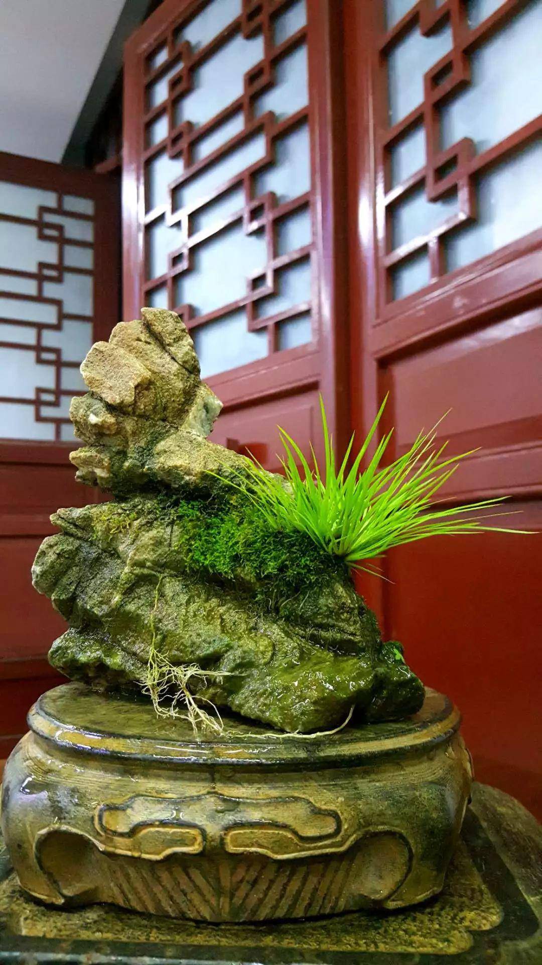 蒲友铁骨的附石菖蒲法