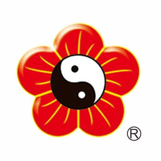 国家级非物质文化遗产邢台梅花拳