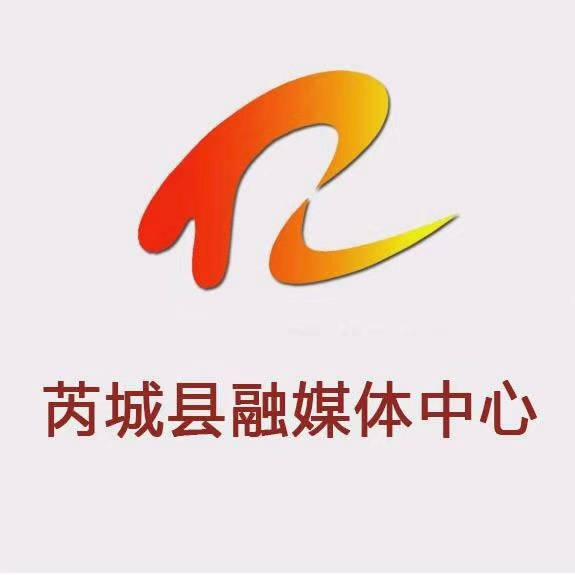 最是一年春好处,绿水青山引凤归 ——芮城县"凤还巢"计划春节活动纪实