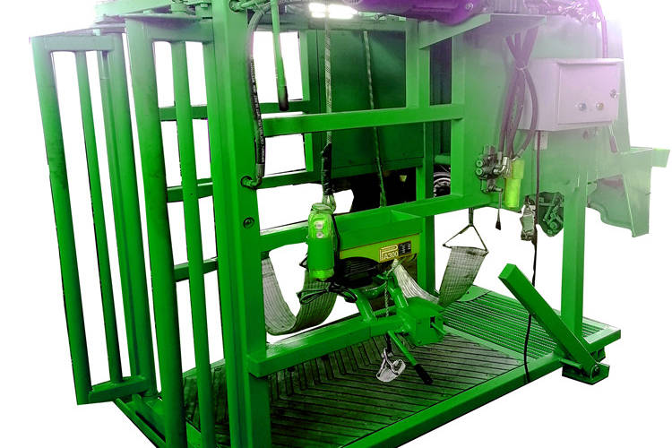 牛宝宝修蹄车视频