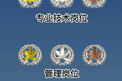 军队文职人员的岗位等级怎么设置吗一起来认识一下吧