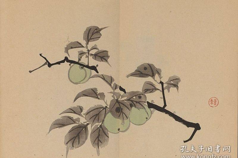 明治三十九年刊本——景年习画帖_日本_花鸟画家_尾景