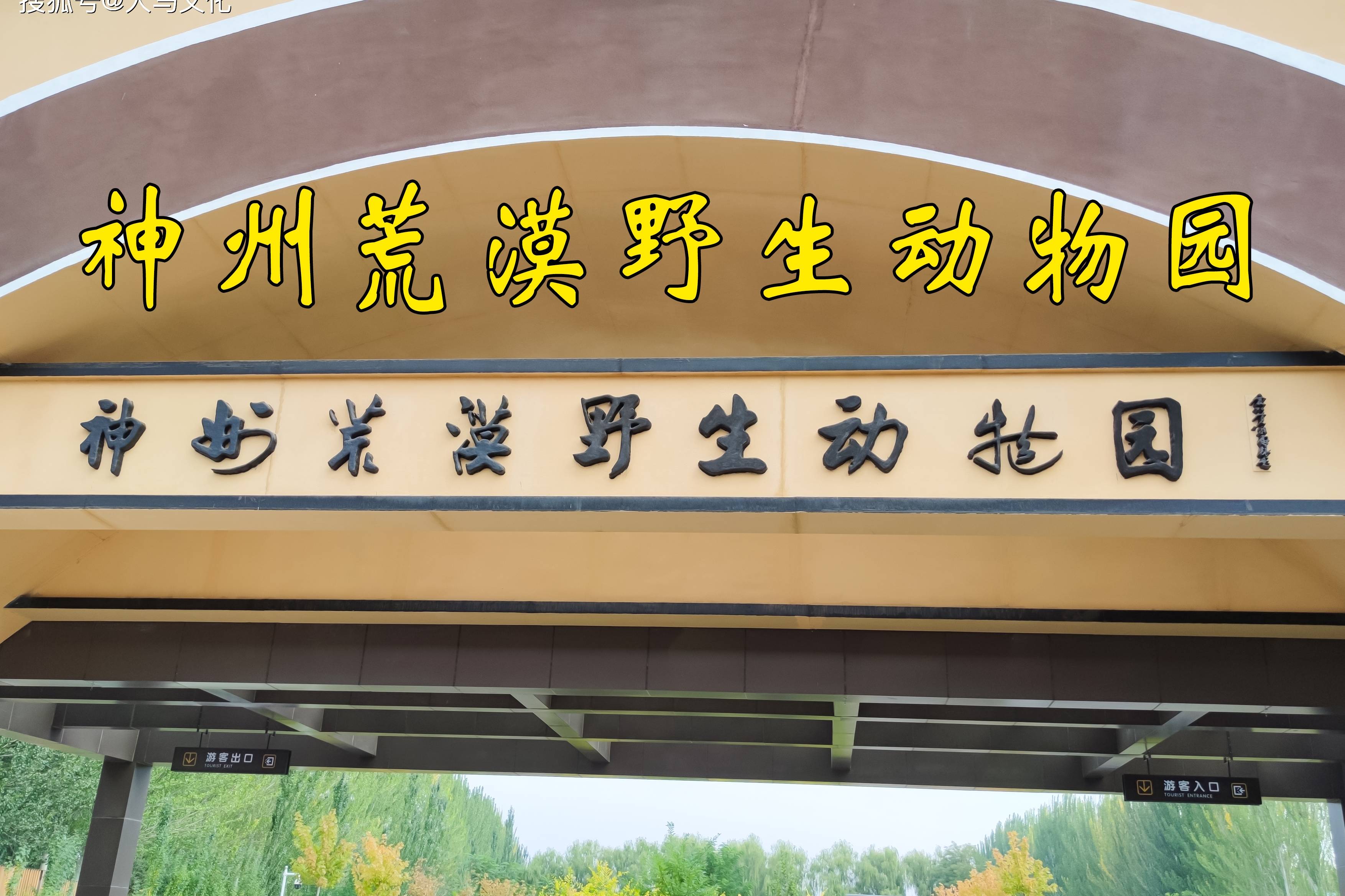 西北胜迹:凉州之畜天下饶,武威神州荒漠野生动物园_天下_武威_凉州