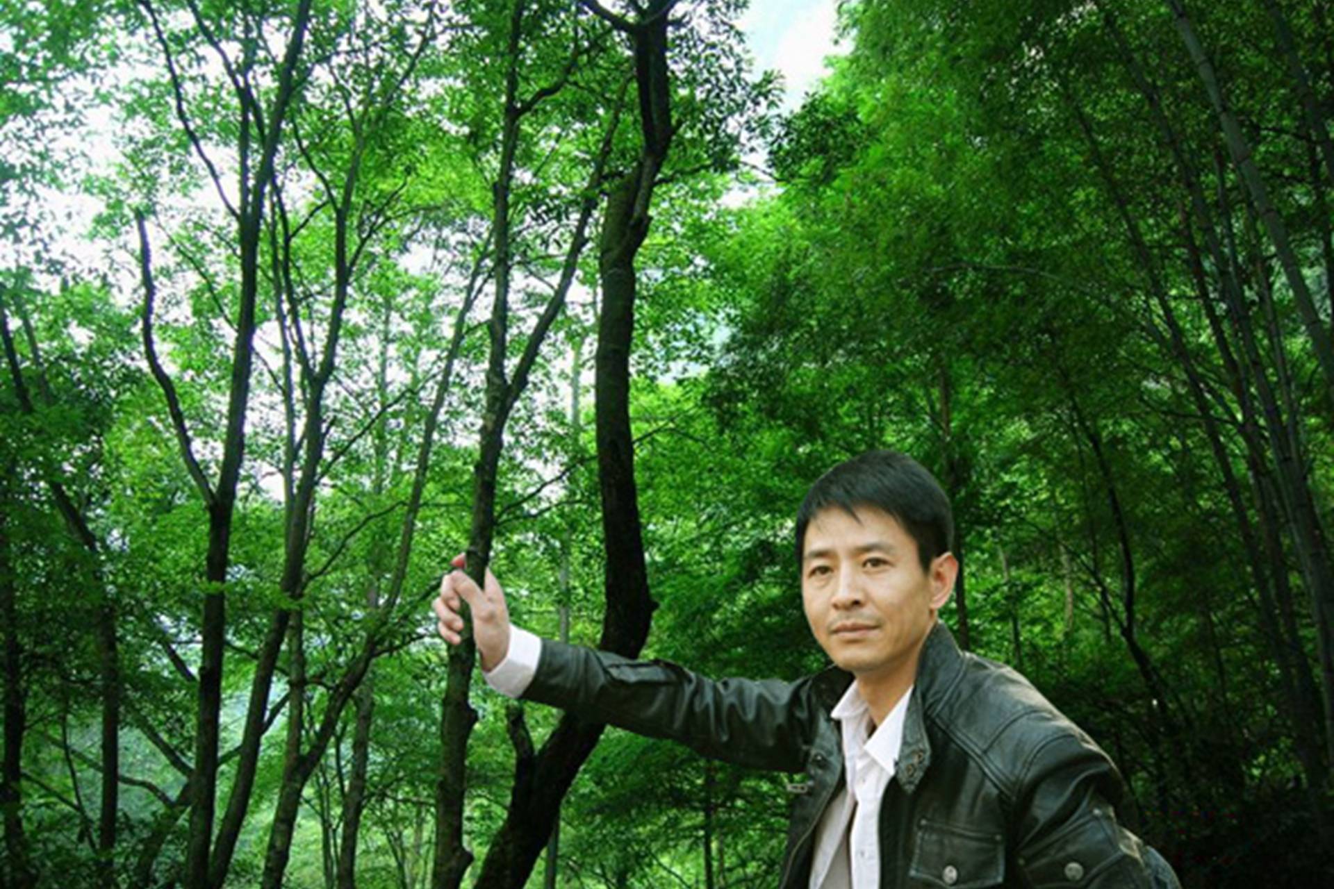 峰光无限郭晓峰落叶一片一片一片我随着微风望着天