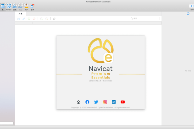 精简版本的Navicat软件分享